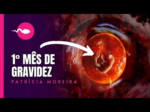 1ST MONTH OF PREGNANCY - Weeks 1, 2, 3, 4 | What happens in the first month of pregnancy