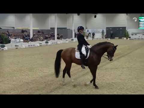 Franz Joseph jr - Agravis Cup 2026