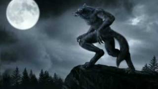 Charon Exkadi - Werwolf