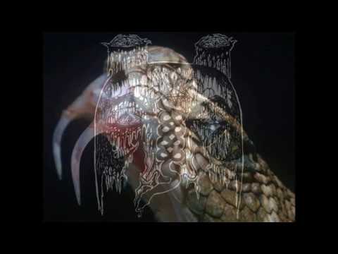 Reptile Womb (International) - Sanguiphage