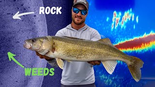 CRUSHING BIG Schools of Walleyes | June Walleye Fishing Locations & Techniques