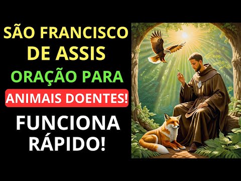 🌟Cure seu animalzinho: Oração de São Francisco para os Animais Doentes! tenha fé, Ore e confie!🙏