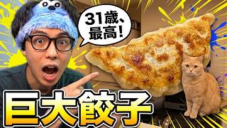 手作り巨大餃子と猫飯でで31歳の誕生日を祝う男
