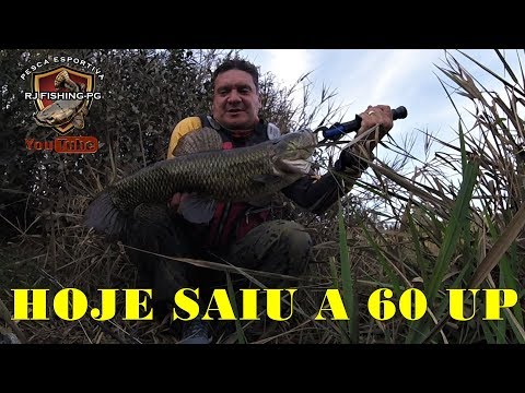 HOJE ELA SAIU TRAIRA NACO 60 UP 3,250KG!!!