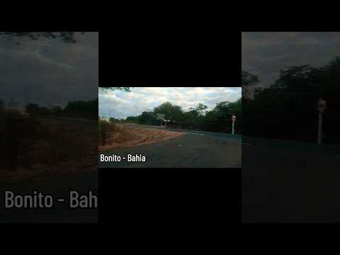 Bonito- Bahia