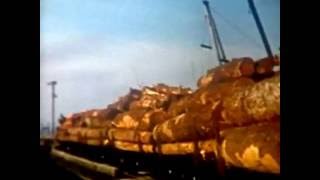 preview picture of video 'Trip to the Chemainus log dump by MacMillan Bloedel locomotive 1044 in the late 1960s'