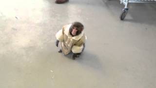 Monkey In A Jacket In The Ikea Parking Lot (Song A Day #1439)