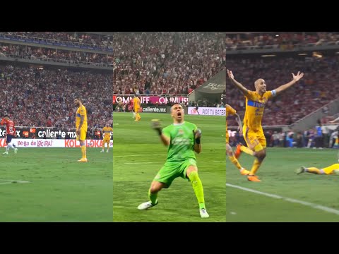 Así se vieron todos los goles de chivas y tigres a ras de cancha (Final de vuelta) 🏆