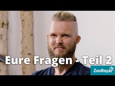 Eure Fragen - Teil 2 | Tierarzt Tacheles mit Sebastian Goßmann-Jonigkeit
