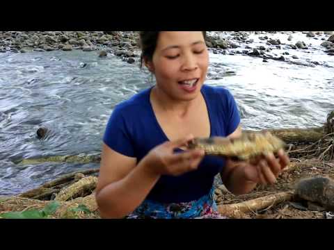 Finding and catching fish along the river and cooked on clay as a food - Fish are delicious Video