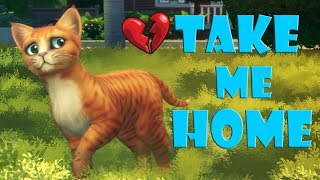 POOR LITTLE KITTEN SAD STORY | TRY NOT TO CRY
