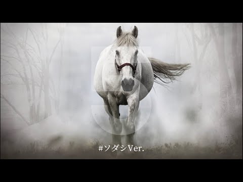 2022.02.20   白毛　ソダシ　東京11R   フェブラリーステークス