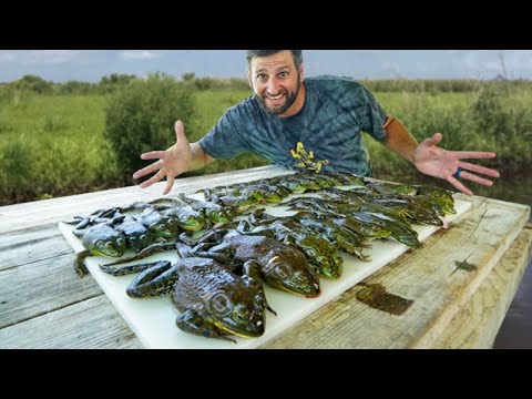 GIGANTIC Louisiana SWAMP FROGS Catch and Cook
