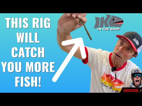 THIS Secret Rig will CATCH You MORE FISH!