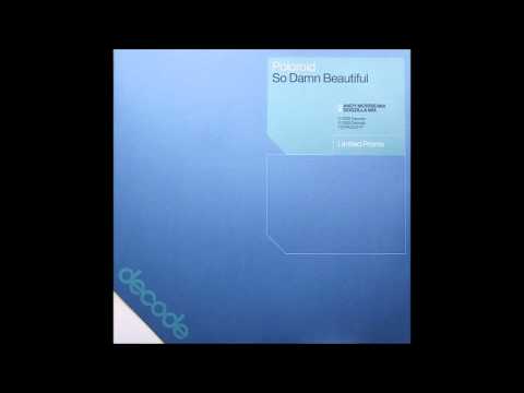 Poloroid - So Damn Beautiful (Dogzilla Mix) [Decode Records]
