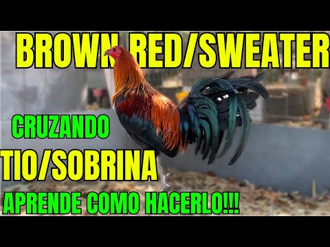 BROWN RED SWEATER.... LEARNING HOW TO MAKE THIS CROSSING