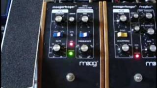 Moog Moogerfooger MF-102 Ring Modulator Guitar Demo