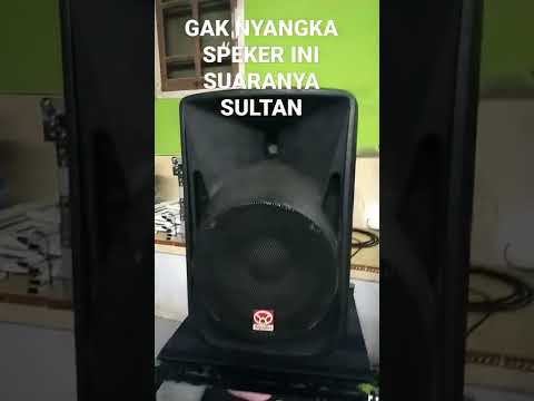 This brand of active speaker has a sultan-class sound. It's really beautiful.