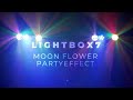 BeamZ Lichteffekt LightBox7