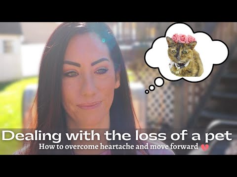 Understanding Grief When Dealing With The Loss of a Pet: Chat about the healing steps after pet loss