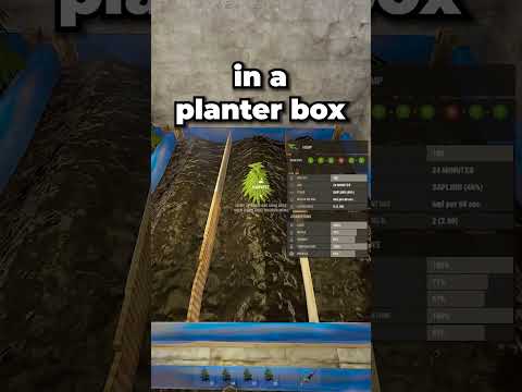 How To EASILY Get God Clones in Rust! 🌱🙏