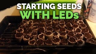 Starting Seeds with LED Lights