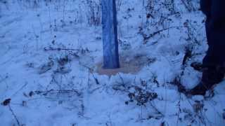 Подготовка деревьев к зиме видео