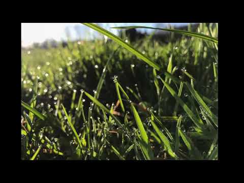 ATRO.at - Grastrocknung/Futtertrocknung - Österreich