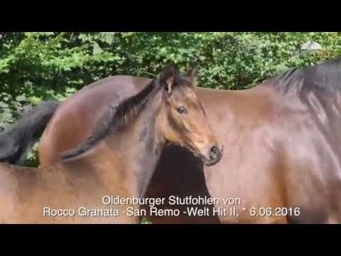 4 Rocco Granata San Remo