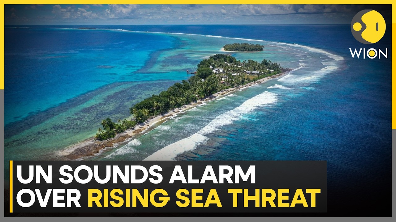 UN: Coastline Loss Will Not Automatically End Statehood | WION News