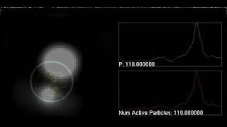 chaotic oscillating autopoietic agent