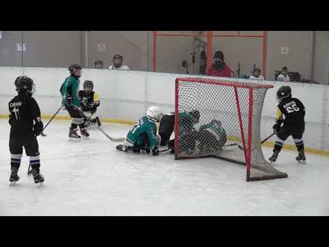 2021 03 07  U10   RTK Vasló - White Sharks