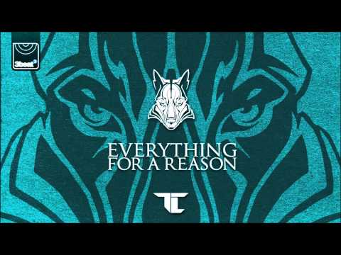 TC - Everything For A Reason (Silverback Remix)
