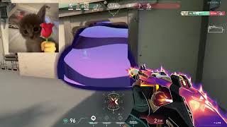 SEN Jerrwin Jett Haven RADIANT OPERATOR