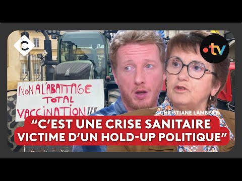 Dermatose : la colère des agriculteurs, une crise qui n’a jamais cessé ?