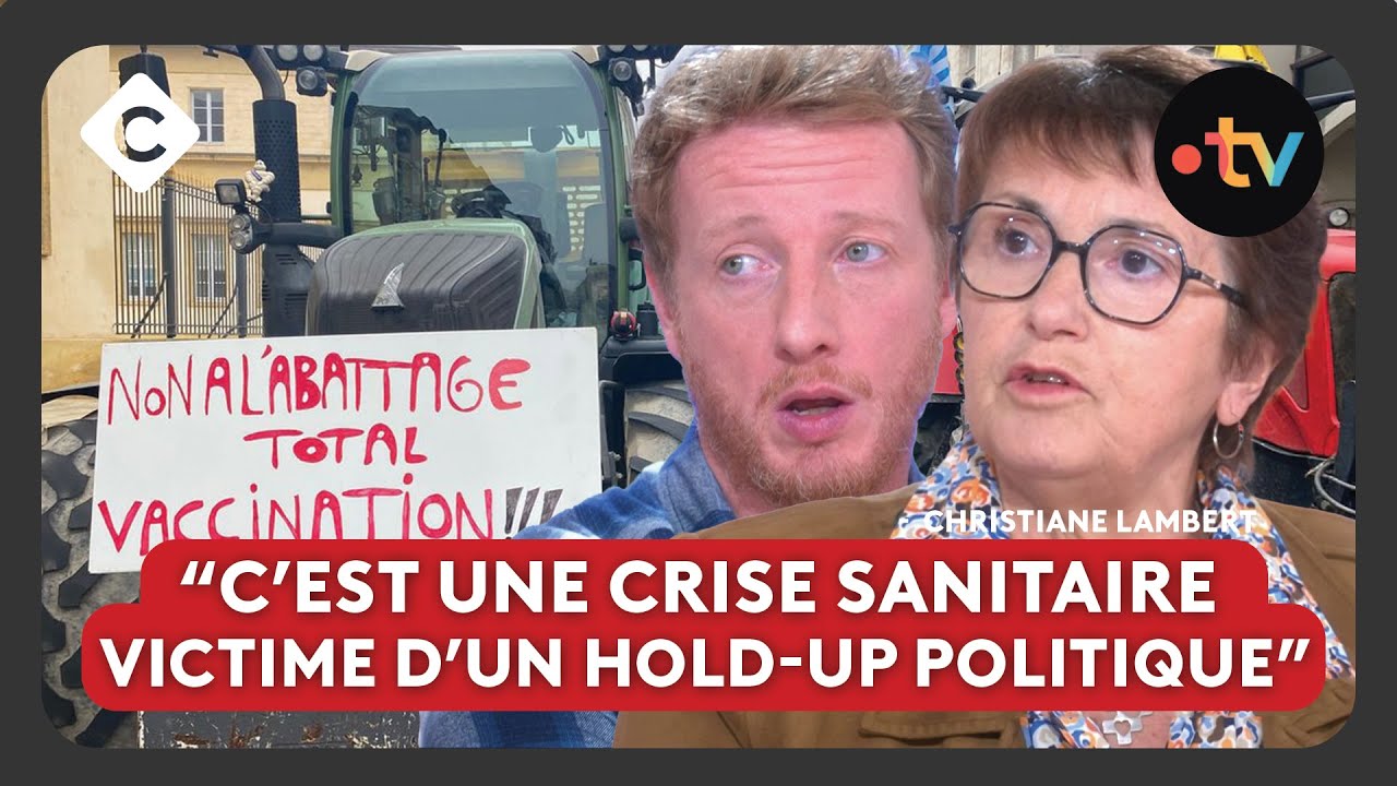 Dermatose : la colère des agriculteurs, une crise qui n’a jamais cessé ?