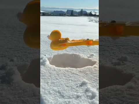 Duck made by ice||fun|| #cats #cute#video#viral #youtube #cutecat#duck #animals  #shorts #shortvideo