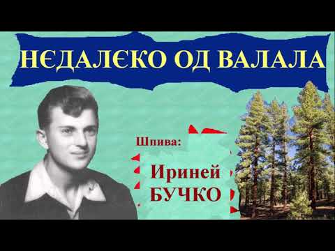 NJEDALJEKO OD VALALA - Irinej BUČKO