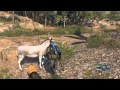 Donkey Fucking Owned