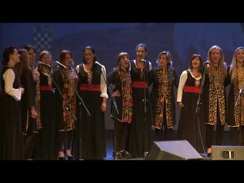 Divojka je zelen bor gojila - Klapa Dišpet i Klapa Valovi 2017 Buenos Aires