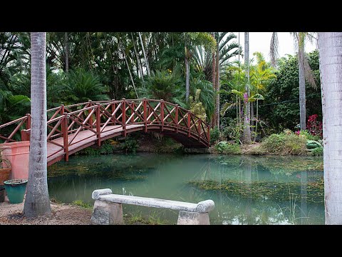 ਪਤਾ ਗੁਪਤ, Mareeba, QLD 4880, 4 ਕਮਰੇ, 4 ਬਾਥਰੂਮ, Lifestyle Property