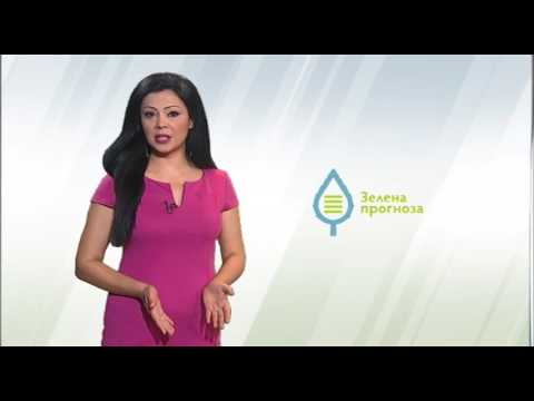 Zelena prognoza, 7.7.2016. - O prisutnim štetočinama u proizvodnji kupusa