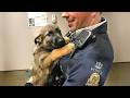 When A Police Dog S First Day On The Job Funny Dog Videos
