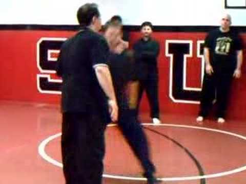 Baguazhang Hawk Catching Sparrow Palm Technique