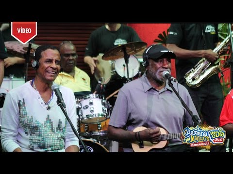 Fundo de Quintal - Pot-pourri