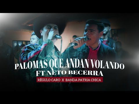 Regulo Caro ft. Neto Becerra - Palomas Que Andan Volando [En Vivo 2023]