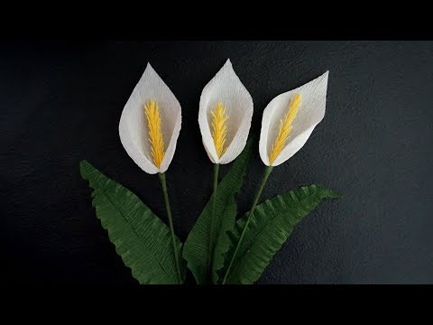 How to make paper calla lily - Easy and quick paper flowers crepe