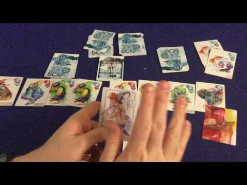 Bower's Game Corner: Zooscape Review