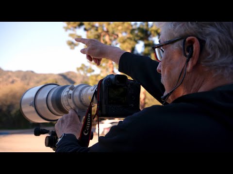 Introducing the Canon RF1200mm F8 L IS USM with Peter Read Miller