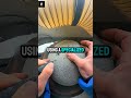 A Million-Year-Old Fossil Was Hidden Inside This Rock.